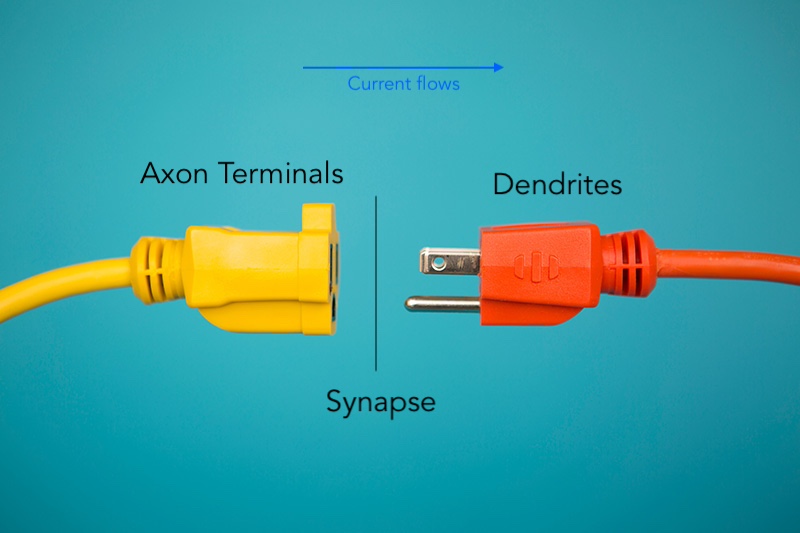 Part 0 Bits and Brains? Olin Johnson